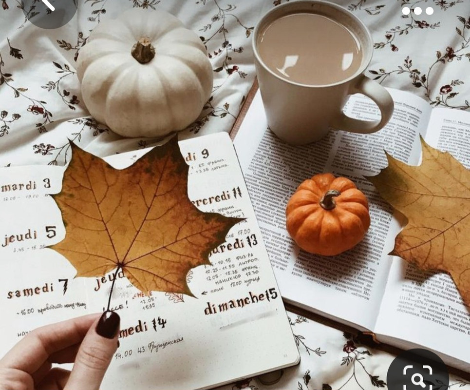 Screenshot_20230928_223840_Pinterest