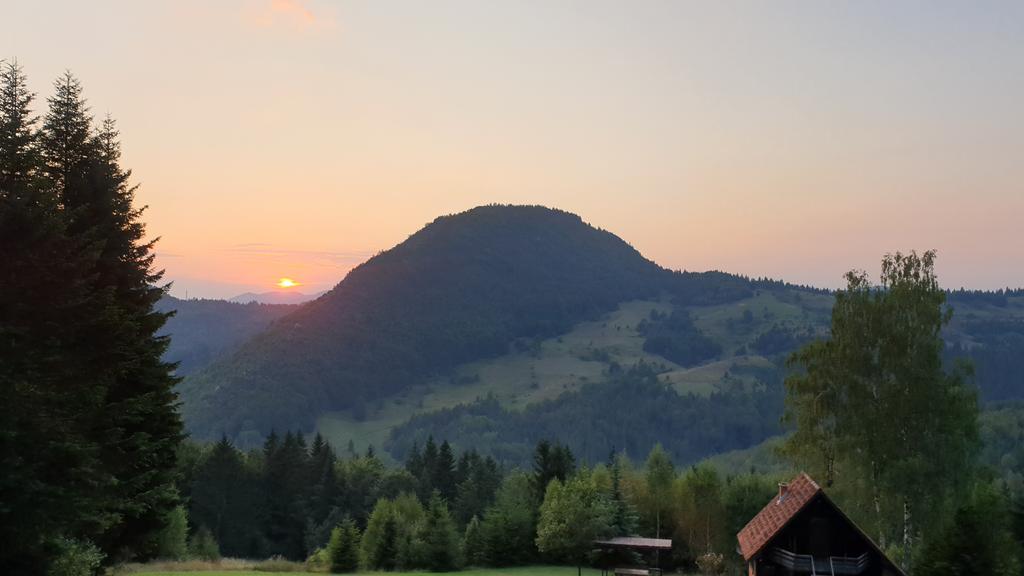 Slika
