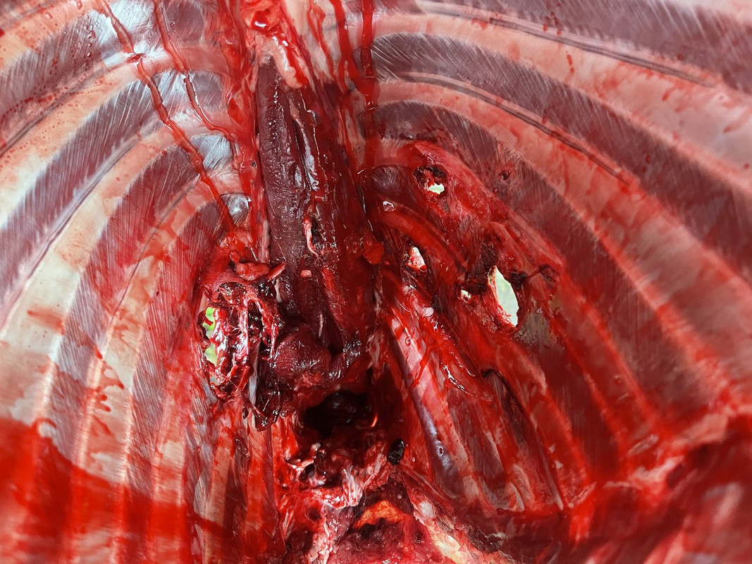 EA929AEE-F689-4260-B77B-2AE9221CFE30