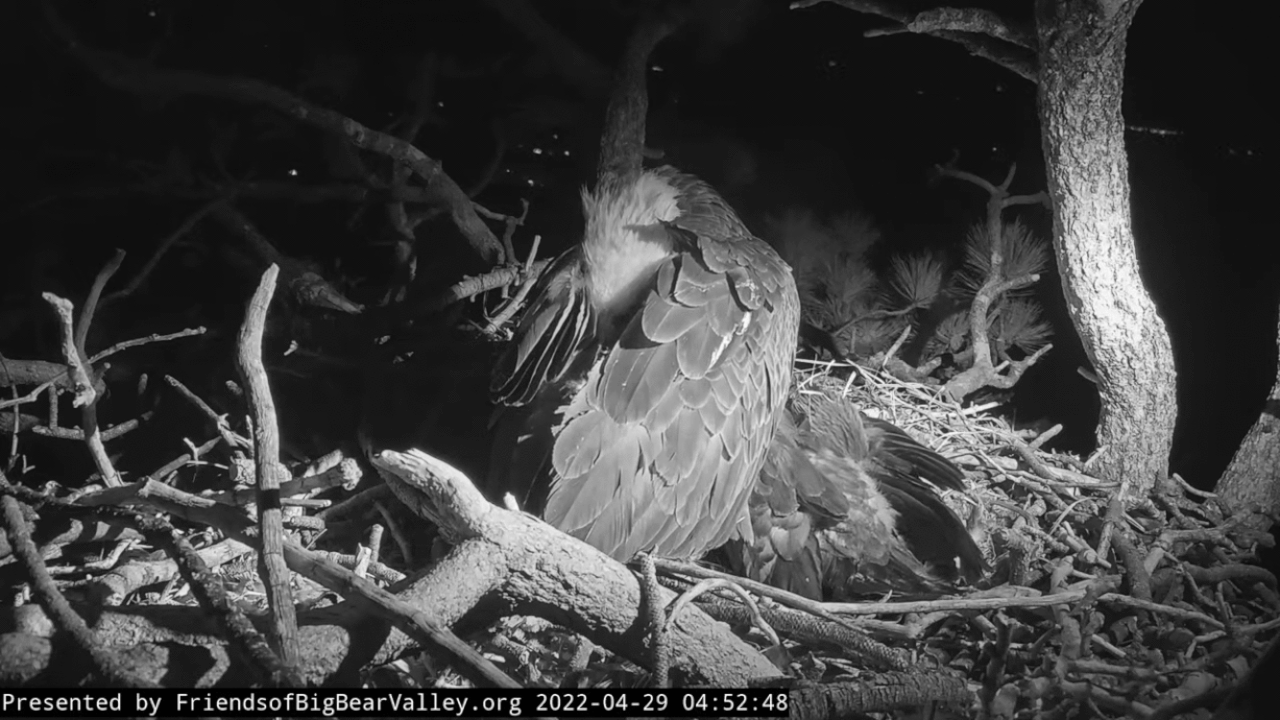 Webp.net-gifmaker (5)