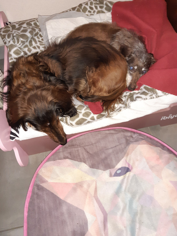 [Image: 20210427-070300.jpg]