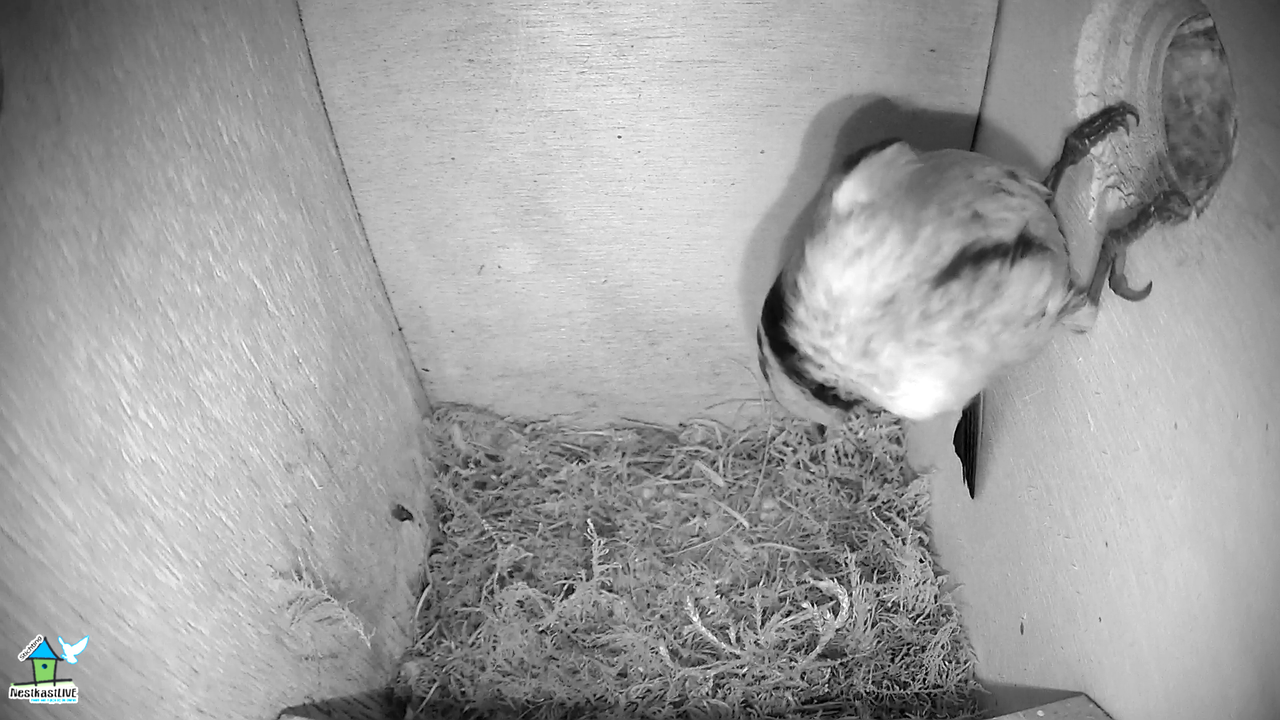 PM NKL 3 nog even omkijken