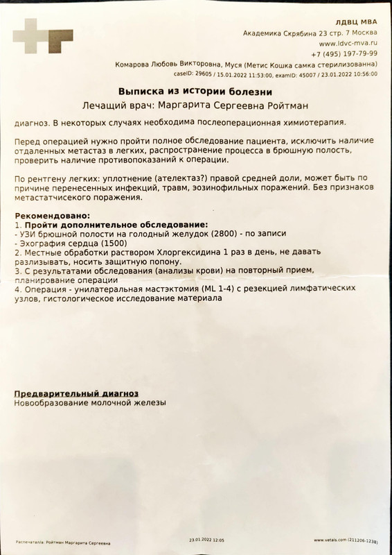 Муся обследование (3)