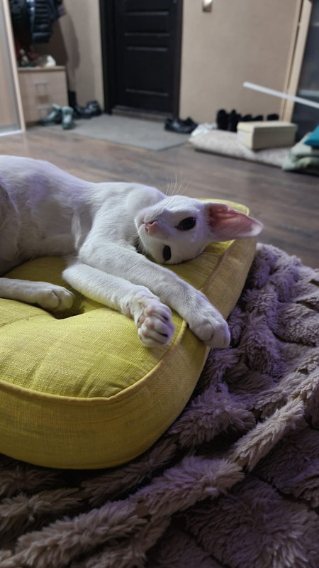 WhatsApp Image 2022-11-21 at 07.40.26