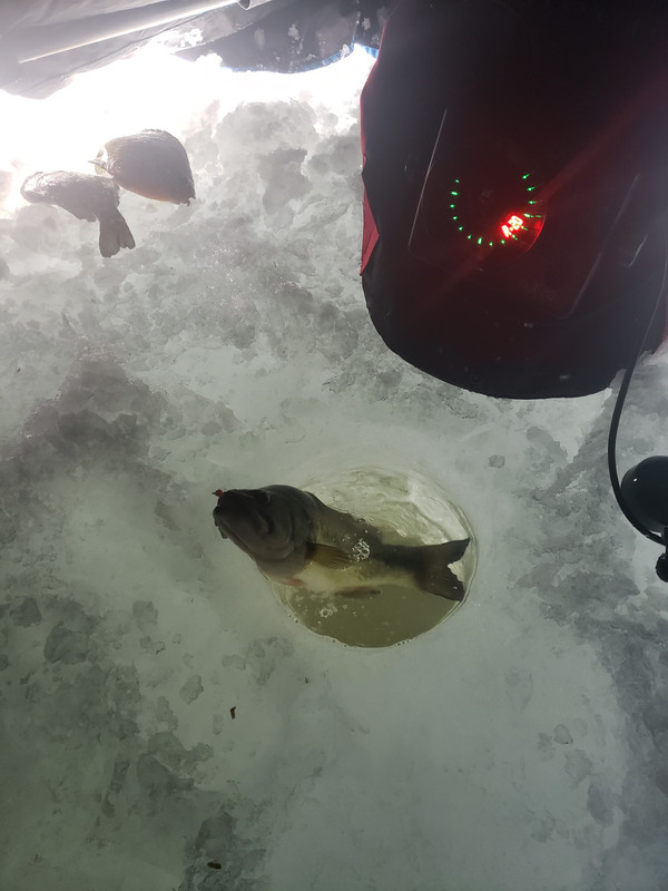 20190201_103414