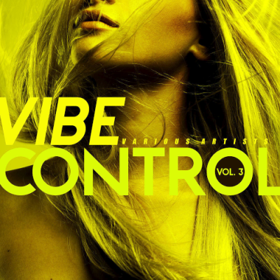 VA - Vibe Control Vol. 3 (2019)