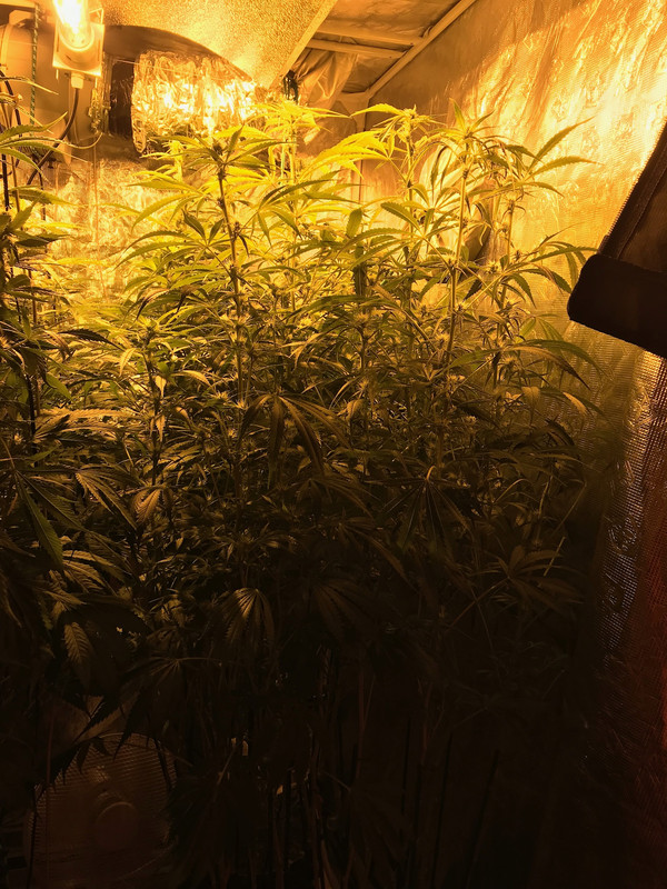 152324A5-618F-4D2E-AE6A-8AF8B8A3D93E