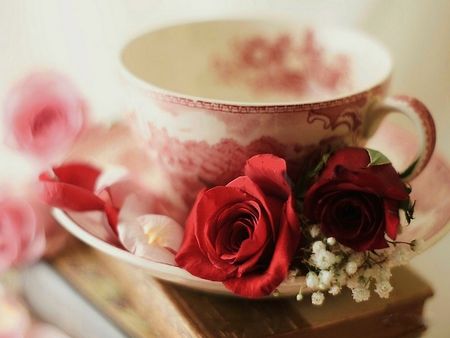 An den Beitrag angehängtes Bild: https://i.postimg.cc/2SpmPc3R/273049-Teacup-Roses.jpg