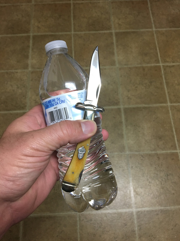 image.jpg