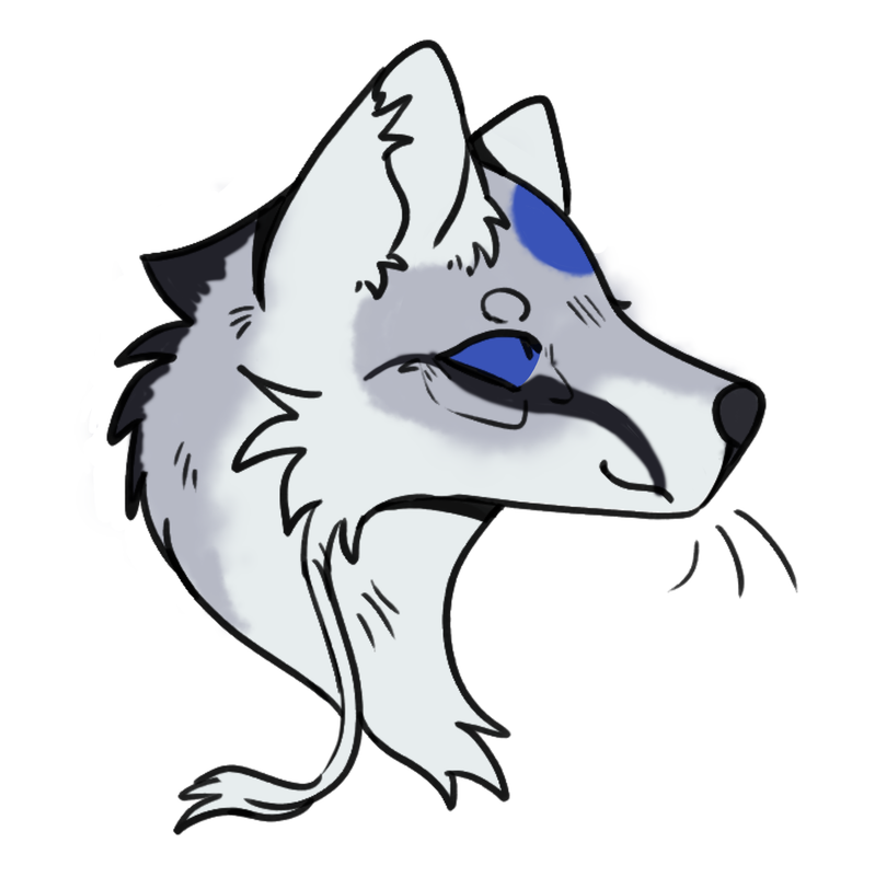 IMG-0740.png