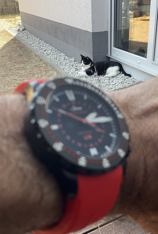 10A5CD41-CFB7-4303-A6B6-9F6DBAAFEF34