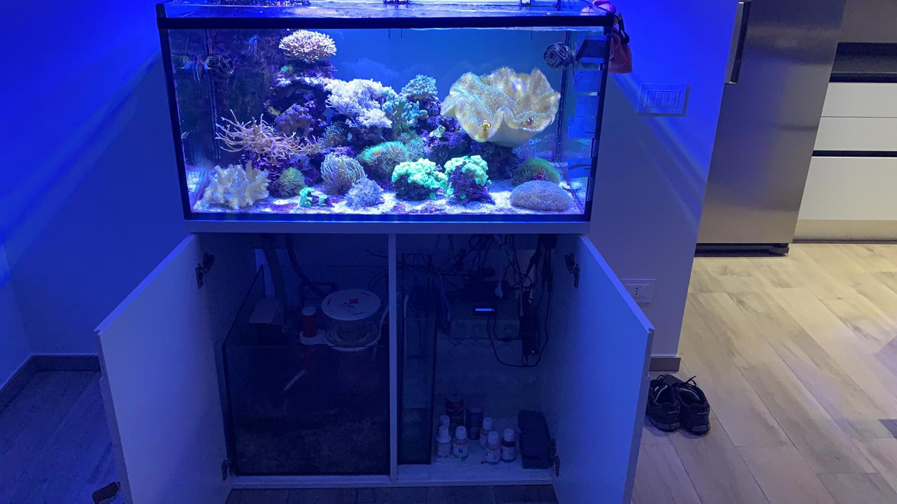 86008E00-F274-4BF9-9385-5DCC3E09F19E