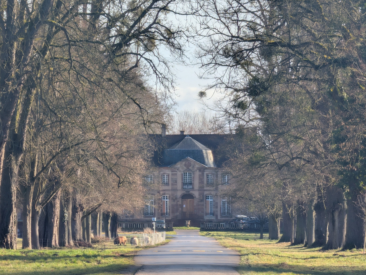 PXL 20260207 100209385