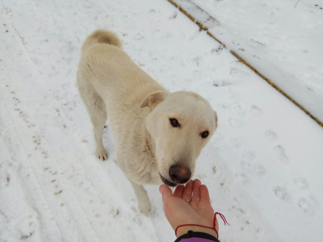 CAB7FDA7-560E-4447-A63A-6234F1C03008