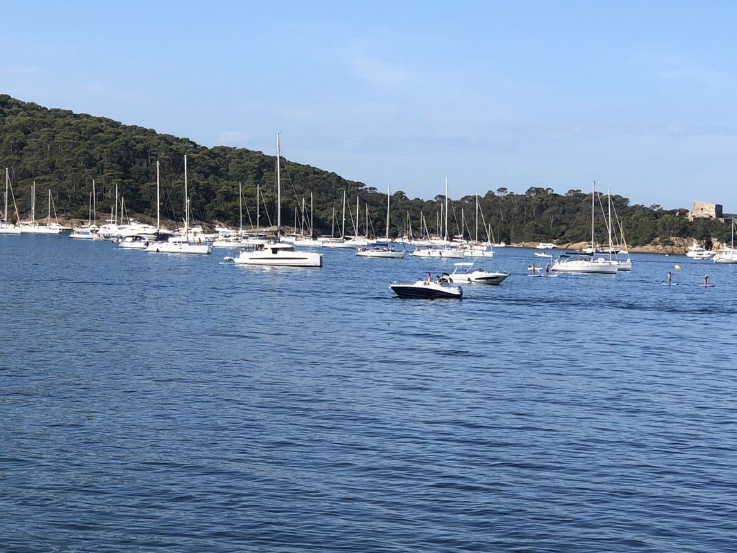 69EA2082-5222-4659-9703-6BBF7C67EB78