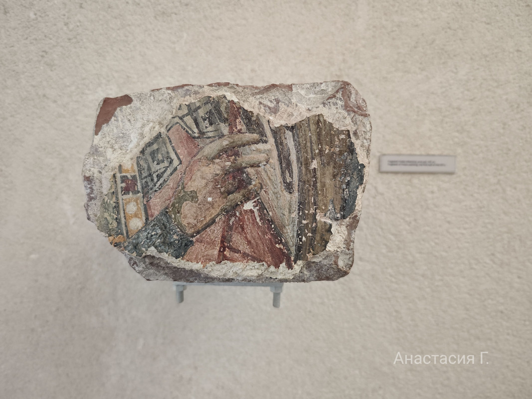 IMG_20250525_154813 (1)