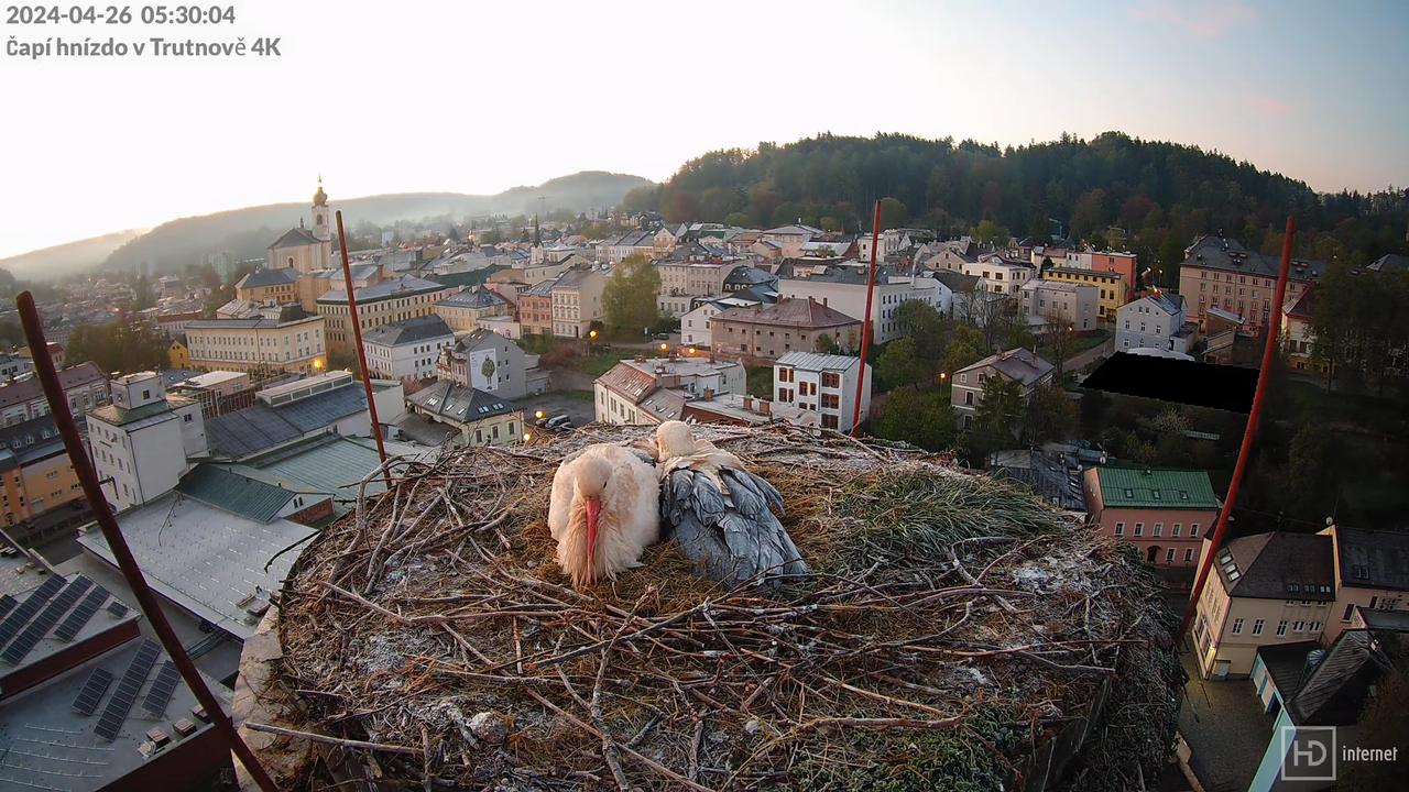 Tiešraidē no stārķa ligzdas uz alus darītavas skursteņa Trutnovā 2-54-36 screenshot