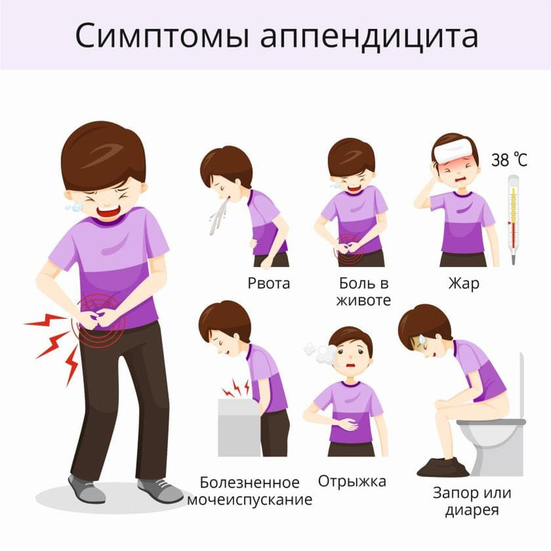 Аппендикс: Не бесполезный рудимент! Удивительные тайны вашего "бактериального хранилища" Аппендикс: Не бесполезный рудимент! Удивительные тайны вашего "бактериального хранилища"