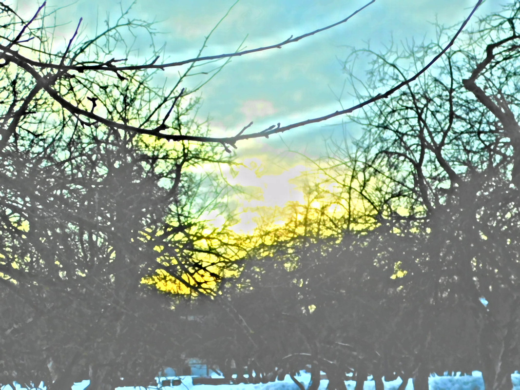 Февральское Коломенское 2023 056