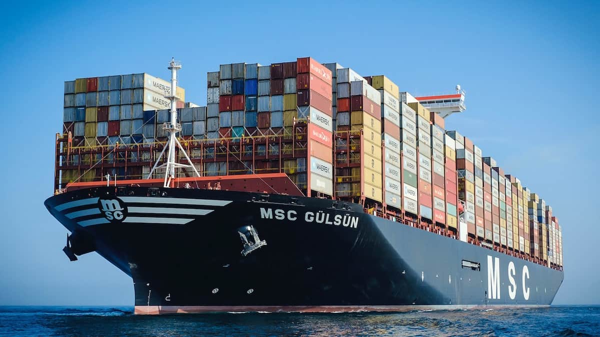 MSC-Gulsun.jpg