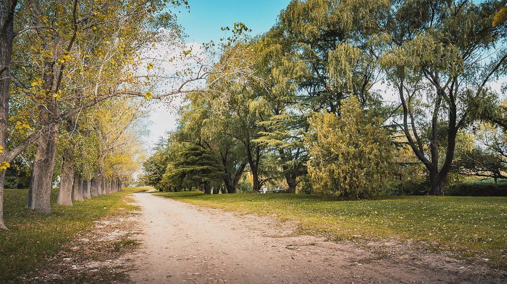 fototapalque991