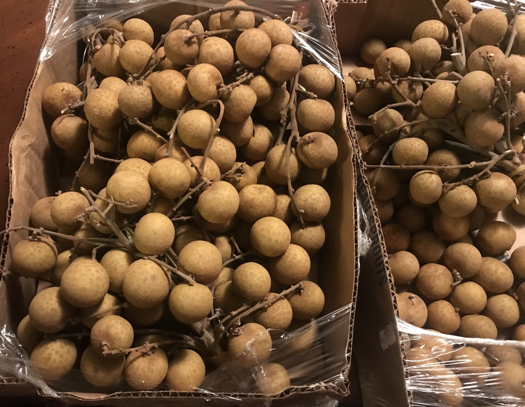 [Image: 46-A671-F7-9-F7-B-4472-A9-D4-5-C59864-F823-B.jpg]