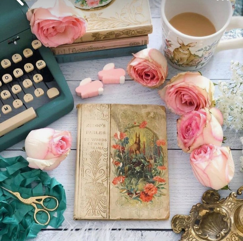 Screenshot_20240722_221343_Pinterest