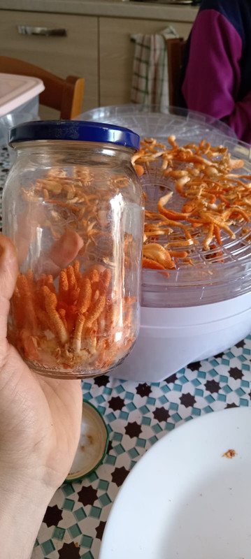 c9090524-def2-4308-8fe4-a1d94ad4e224