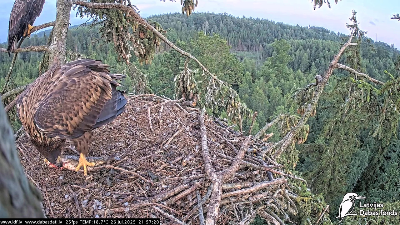 vlcsnap-2025-07-27-04h50m32s408