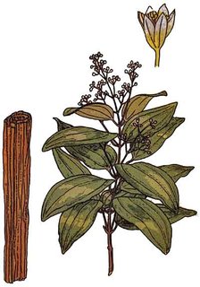 UserImage