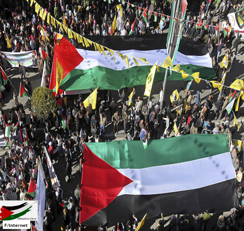 1-PALESTINA.png