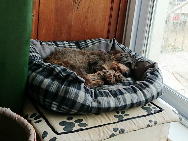 [Image: 20240124-144941.jpg]