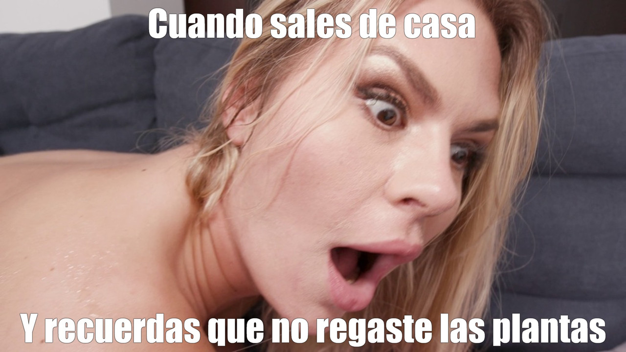 Plantas(1)(1).jpg