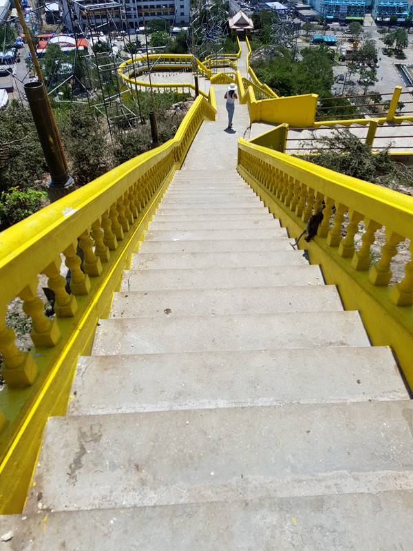 [Bild: 20180303-125751-1.jpg]