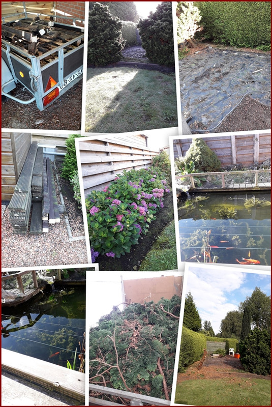 20200819-074347-COLLAGE