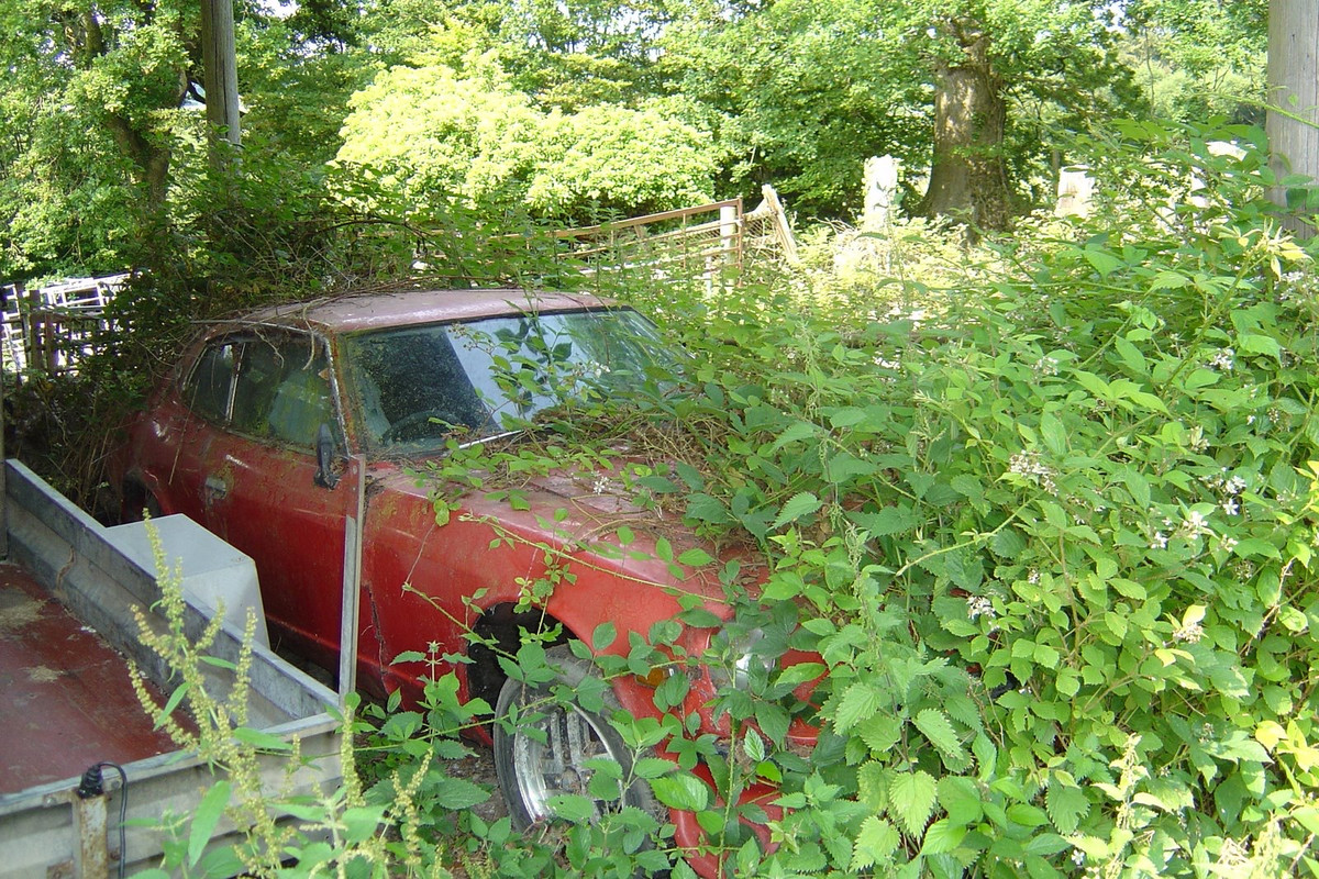 F8473-A7-A-EB96-4-E52-AC77-32-C14340-DD2