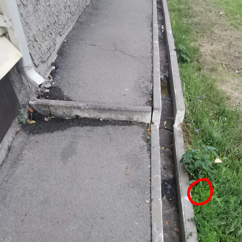 cdyhio