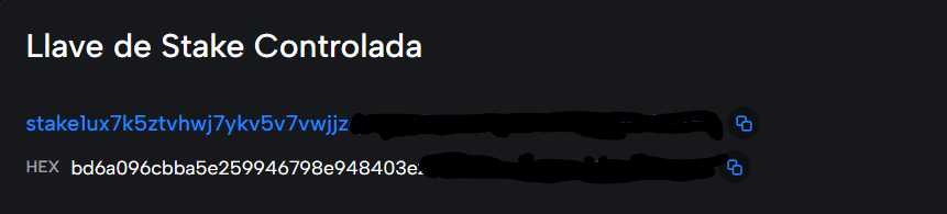 Cómo saber mi dirección de Staking en Cardano - Cardanoscan