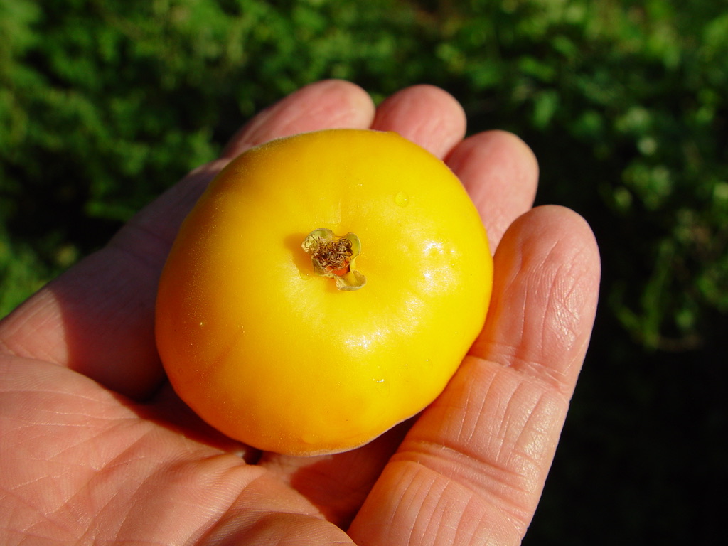 6C89035D-B704-4B0B-B2A9-4D0819BCC58B_1_105_c