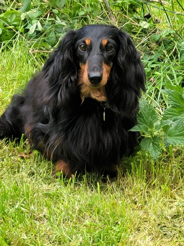 [Image: 20241007-171905.jpg]