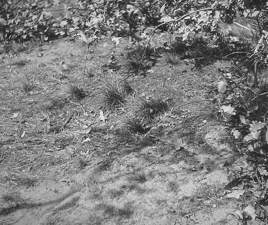 M (1931).mkv_20210423_204159.019