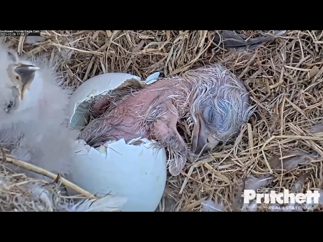 1F000BAD-9913-4878-A031-A370BCC110BF