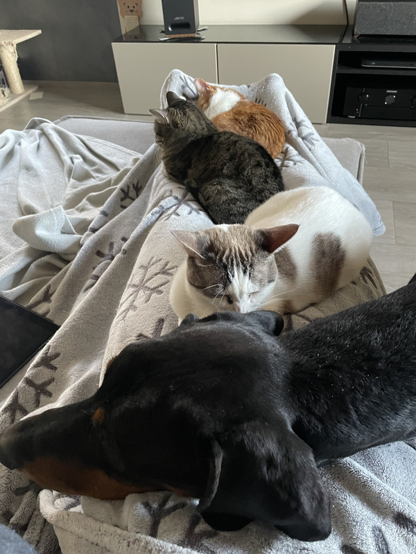 A6538E9C-748D-4D6A-8EC4-2AA80F1492B3