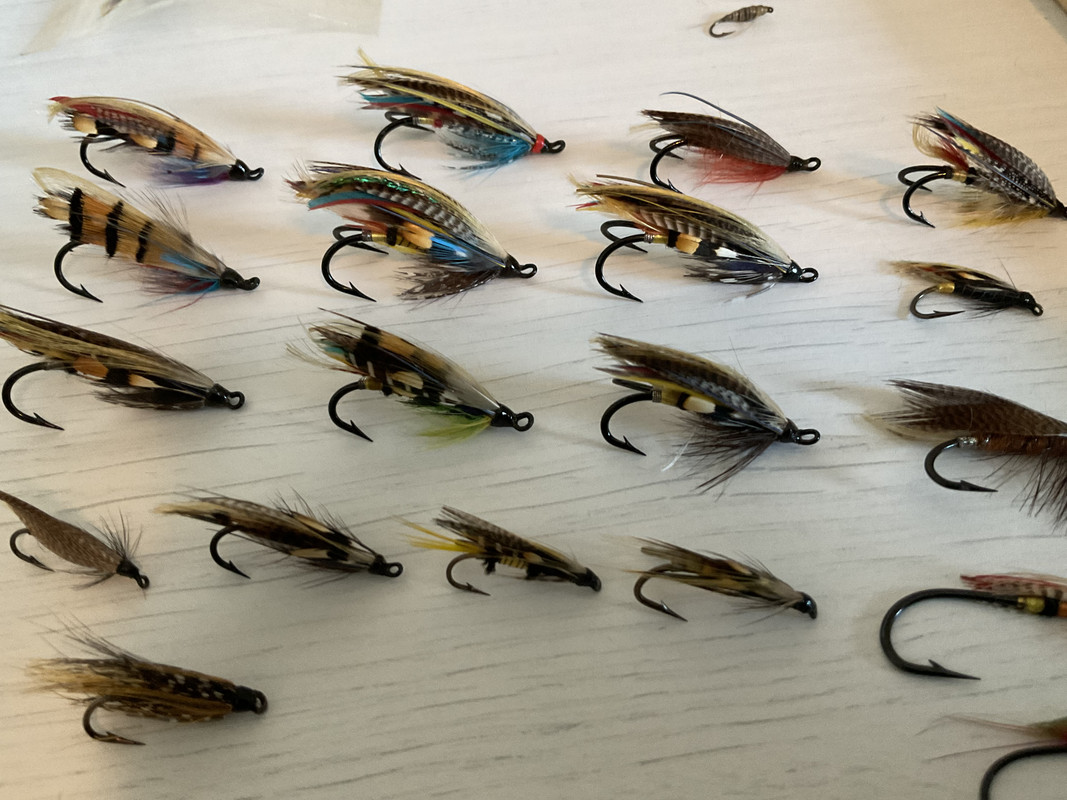 7EA89B87-E1A1-4E71-9465-79E587607D6A