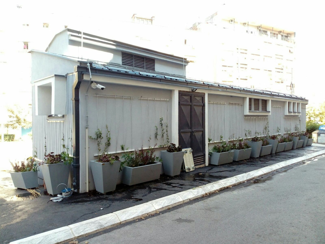 trole01-2020-08-26-00-39-53.jpg