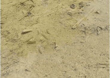20210616-203614.gif