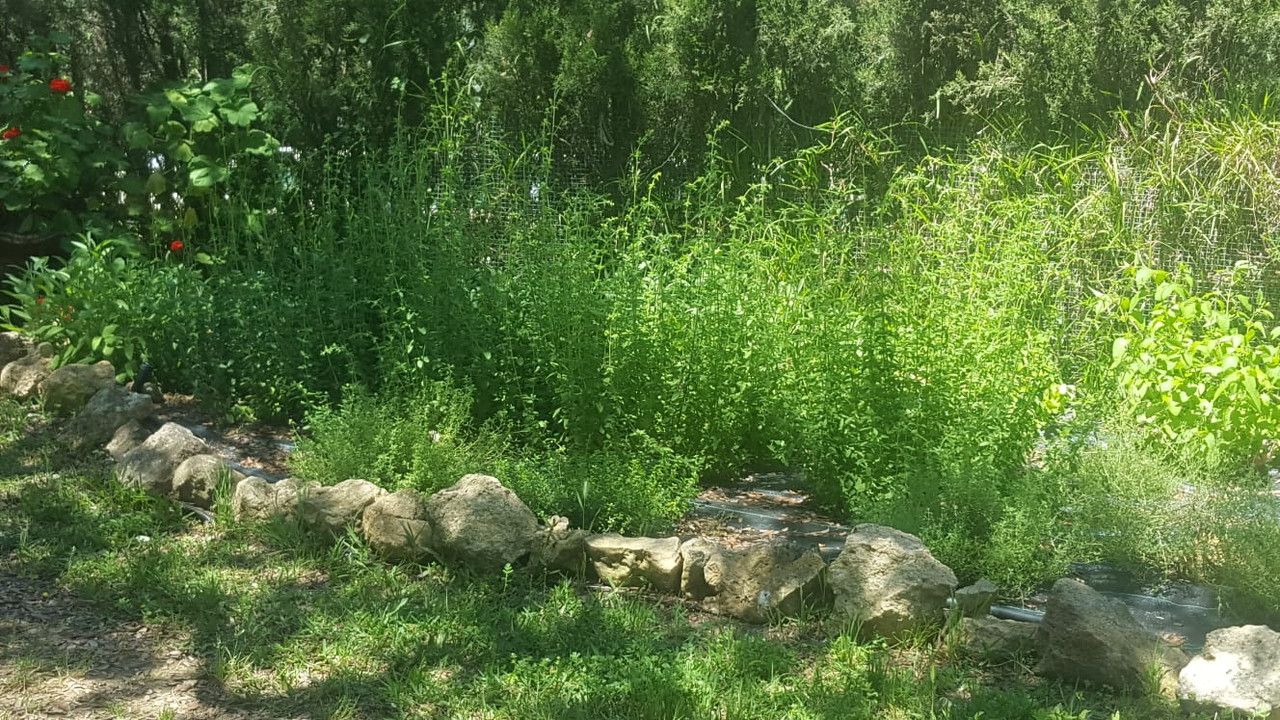 WhatsApp Image 2020-05-16 at 21.32.26 (4)