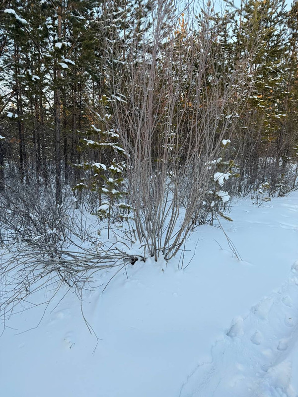 IMG 20251230 201821 691