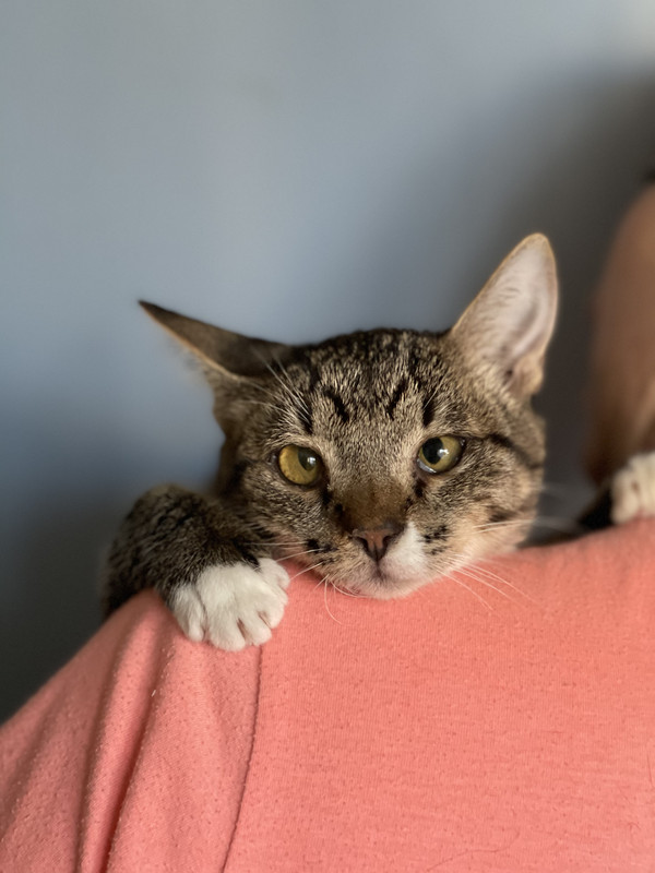 C6AE5F17-D25A-48F9-996A-0B646E8865AD