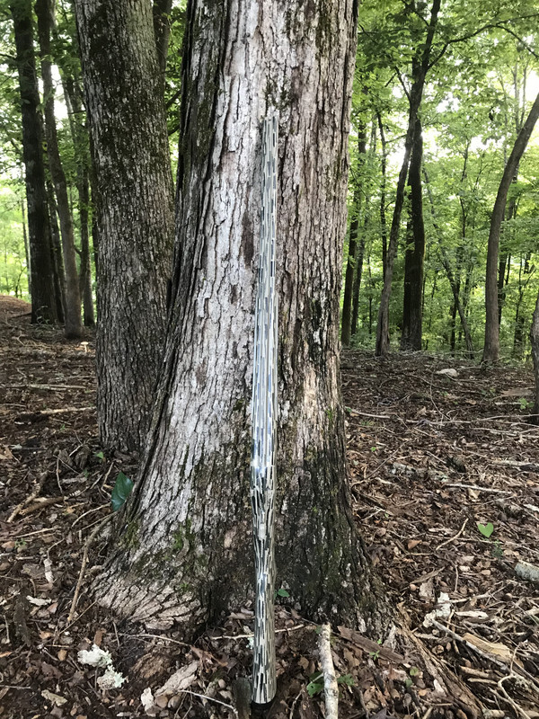 C4EFC4F4-E61D-48E3-864D-8C16277987A9